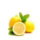 Amalfi Lemon