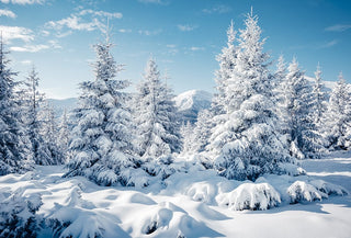 DISCOVERY WINTER