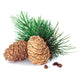 Cedarwood
