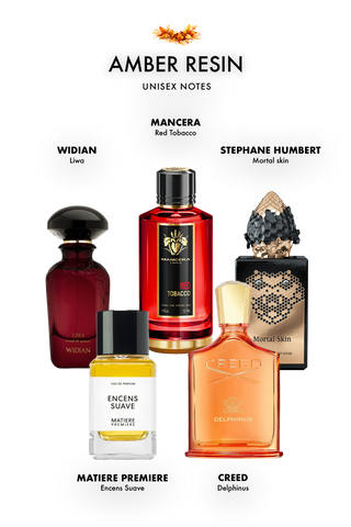 Amber Resin Discovey Set Notes