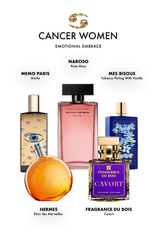 Cancer Zodiac Discovery Set – Quiet Depth