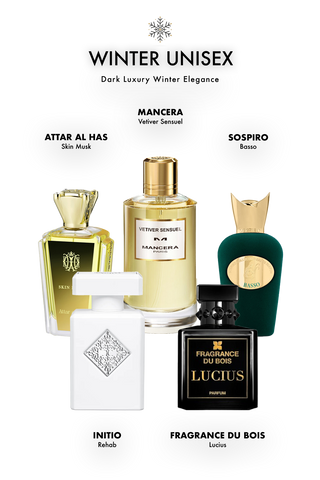 Dark Luxury – Winter Elegance Discovery Set