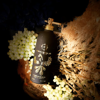 Montale Oudrising