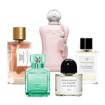 Curated Set for Women For the Gym & Fitness