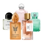 Curated Summer Set for Women